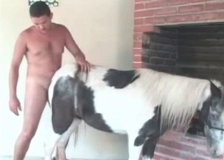 Farm animal and a sexy as fuck zoophile