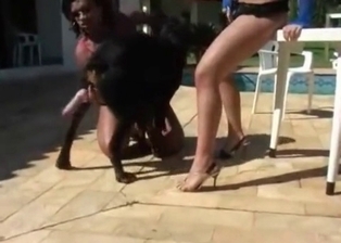 Sexy babes and doggy in amateur bestiality