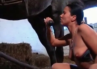 Horse dick is looking so freaking suckable