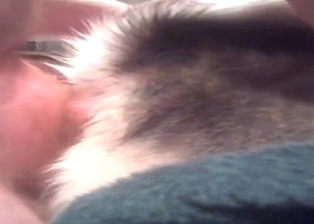 Anal action featuring my lovely doggy