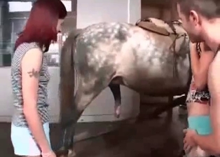 Bestial sex of two young zoophiles
